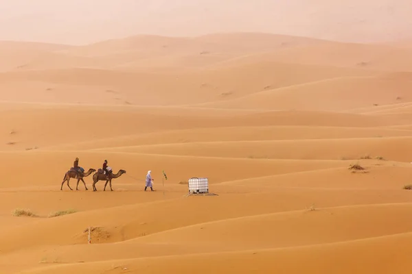 Camellos caravana en el postre del Sahara con hermosas dunas en — Foto de Stock