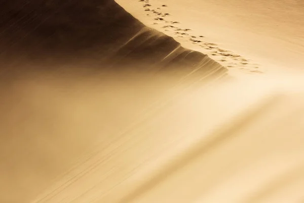 Sahara del desierto con hermosas líneas y colores al amanecer. Merzou. —  Fotos de Stock