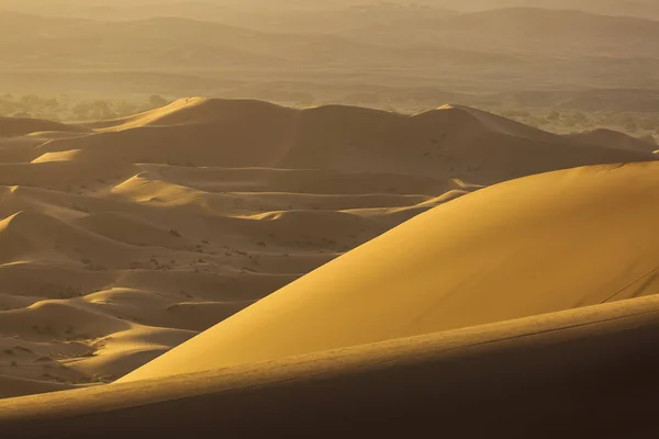 Saara do deserto com lindas linhas e cores ao nascer do sol. Merzou. — Fotografia de Stock