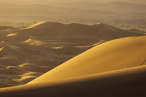 Sahara del desierto con hermosas líneas y colores al amanecer. Merzou. —  Fotos de Stock