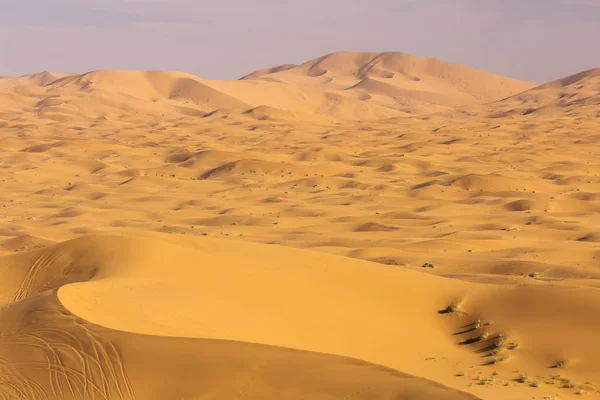 Pustynia Sahara z pięknymi liniami i kolorami o wschodzie słońca. Z. merzou — Zdjęcie stockowe