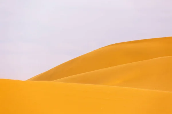 Sahara del desierto con hermosas líneas y colores al amanecer. Merzou. —  Fotos de Stock