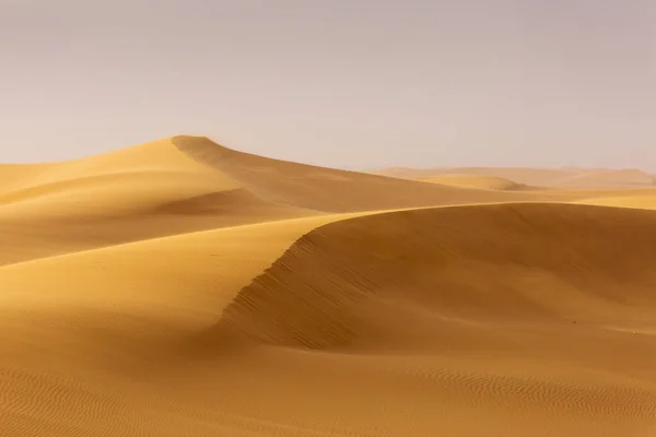 Sahara del desierto con hermosas líneas y colores al amanecer. Merzou. — Foto de Stock