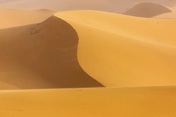 사막 사하라 일출에 아름다운 선과 색상. 메르주 주 — 스톡 사진