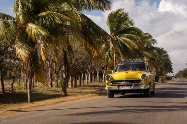 Etrafta palmiye ağaçları olan eski bir Amerikan arabası. Domuzlar Körfezi, Küba 'nın güzel yolu