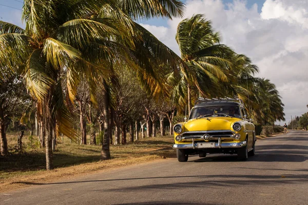 Old American Car Street Full Palm Trees Beatiful Road Bay — Stock Photo, Image