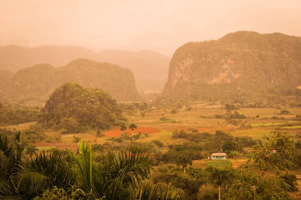 Piękna Dolina Vinales Palmami Mgłą Niesamowity Zielony Krajobraz Kuby — Zdjęcie stockowe