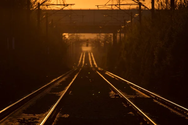 Lignes Ferroviaires Avec Une Belle Lumière Coucher Soleil Arrière Plan — Photo