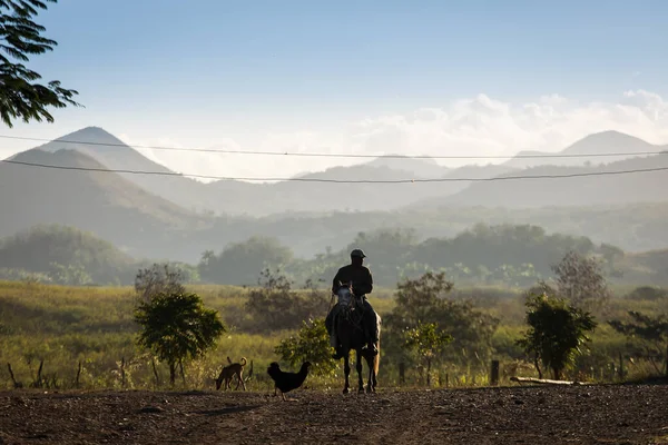 Silhuett Country Man Hästar Med Vackra Berg Bakgrunden Vinales Kuba — Stockfoto