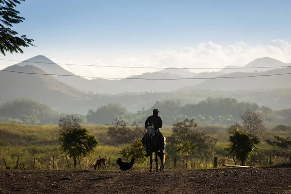 Silhouette Uomo Campagna Cavalli Con Belle Montagne Sullo Sfondo Vinales — Foto Stock