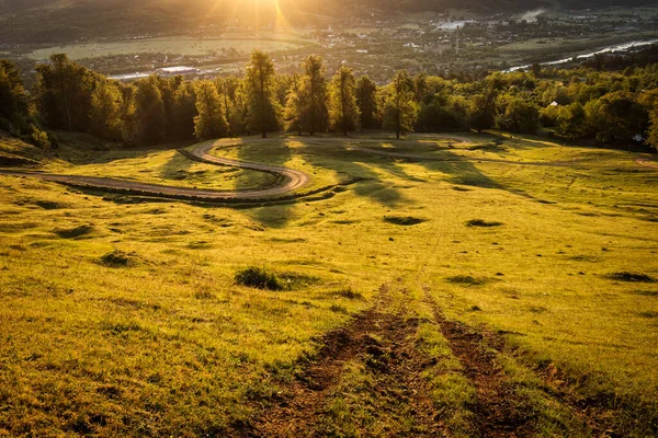 Bella Strada Campagna Sinuosa Con Abeti Sullo Sfondo Durante Alba — Foto Stock