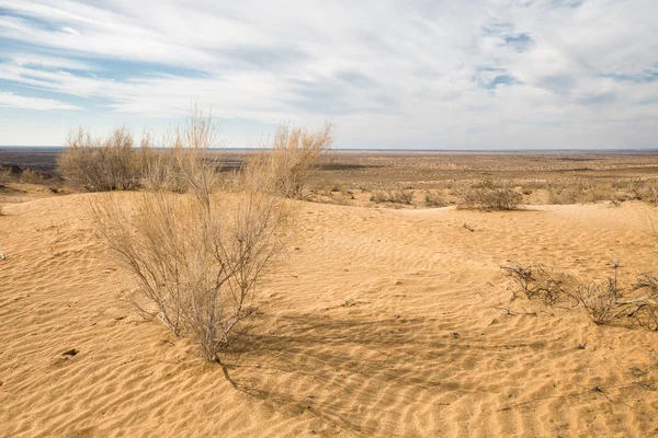 Kyzylkum Desert — Stock Image Kyzylkum Desert Royalty Free Stock Images