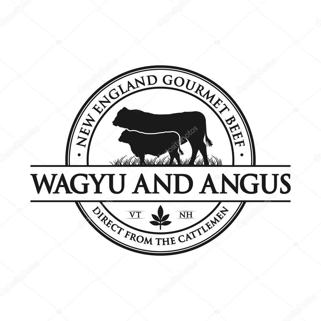 vintage angus cattle logo