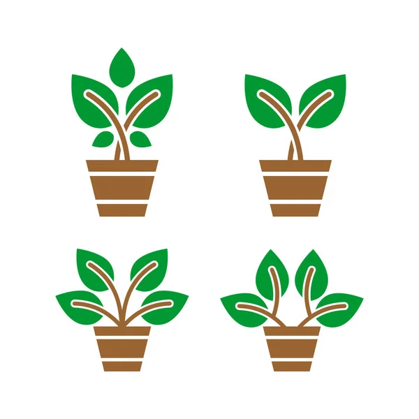 Groen plant logo ontwerp — Stockvector