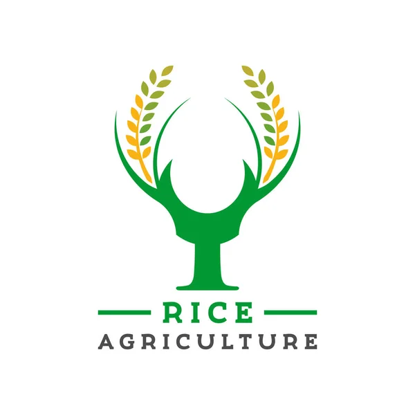 Diseño del logo granja de arroz letra Y — Vector de stock