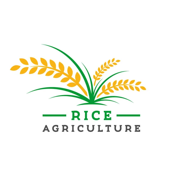 Pirinç tarımı logosu tasarımı — Stok Vektör