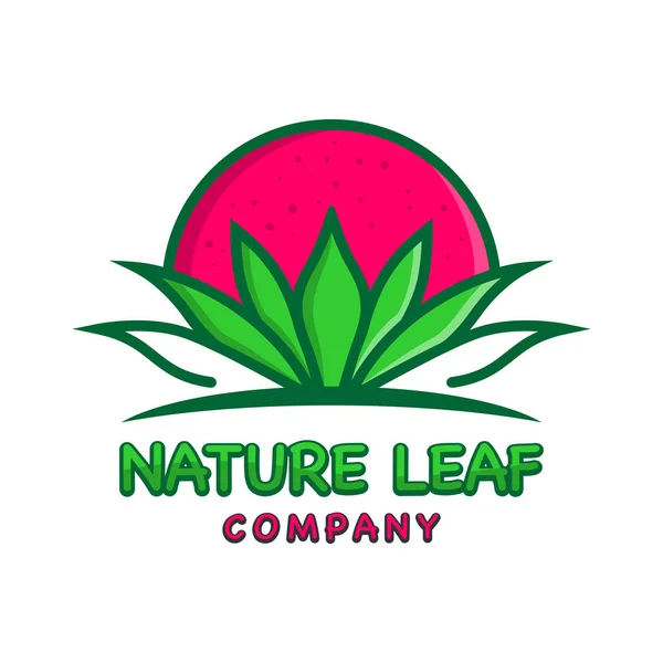Plantilla de diseño de logotipo de hoja natural — Vector de stock