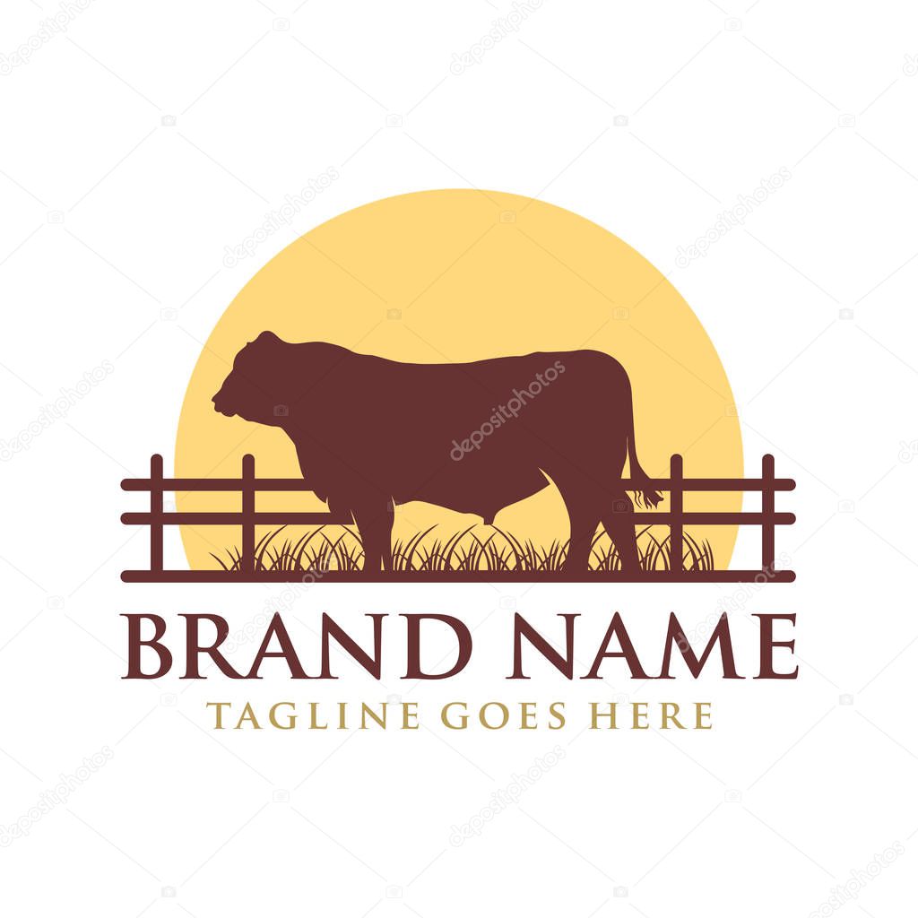 logo design angus cow on grass and sun