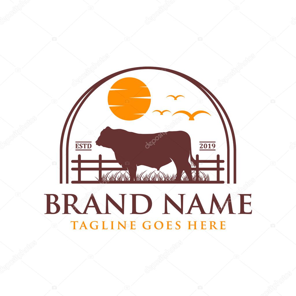logo design angus cow on grass and sun
