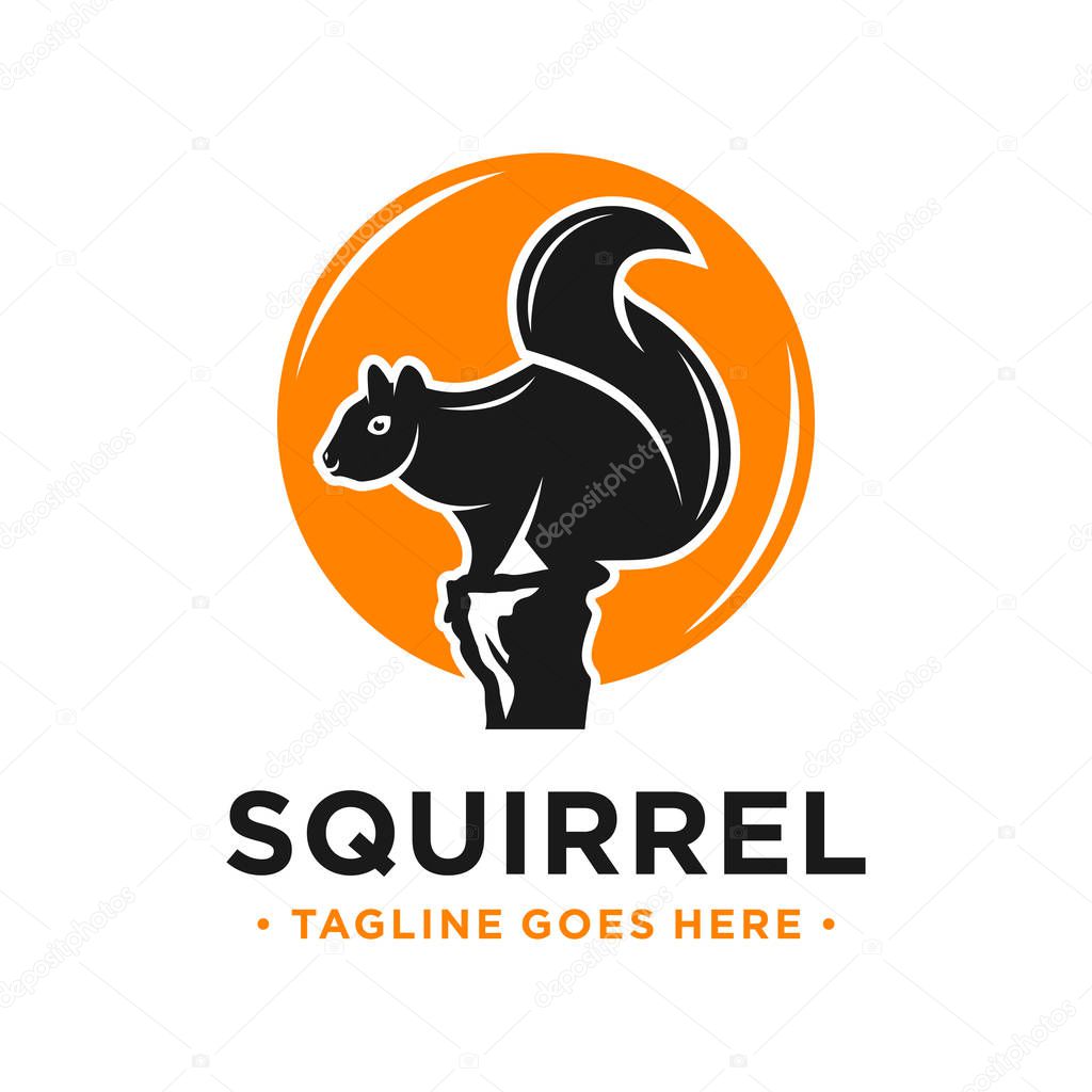 squirrel and circle logo design template