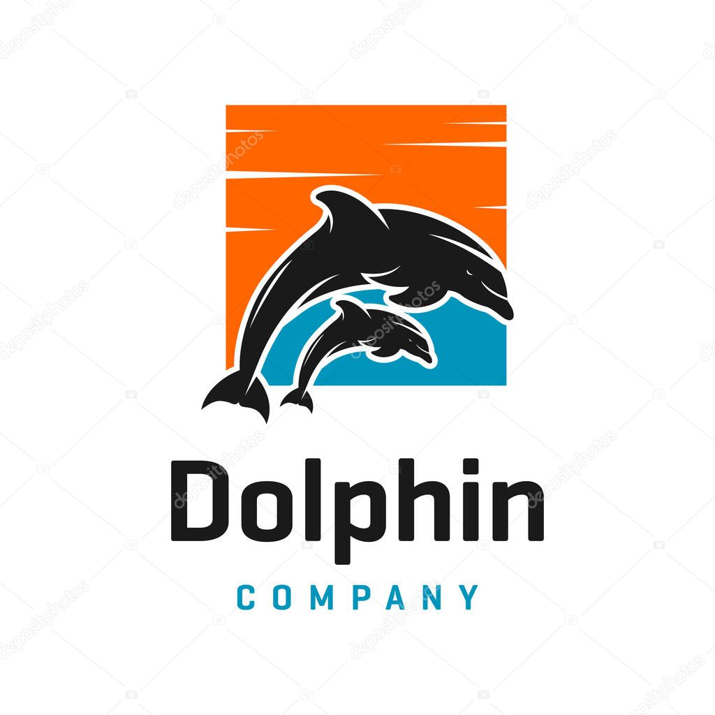 Two dolphin logo designs and a box