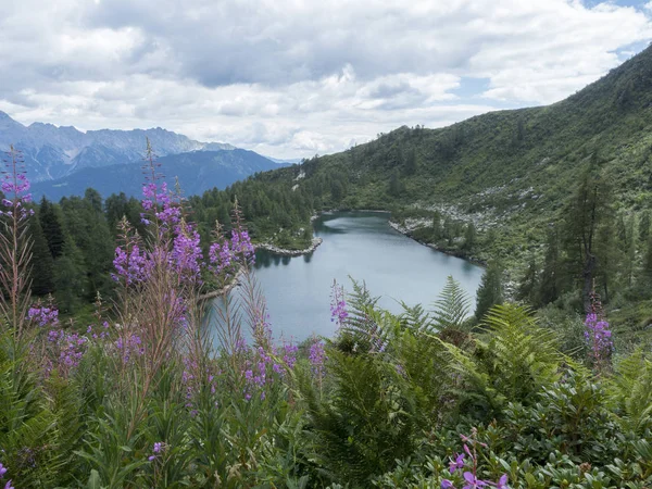 2018 Augurst Die San Giuliano Seen Trentino Country Trekking Day — Stockfoto