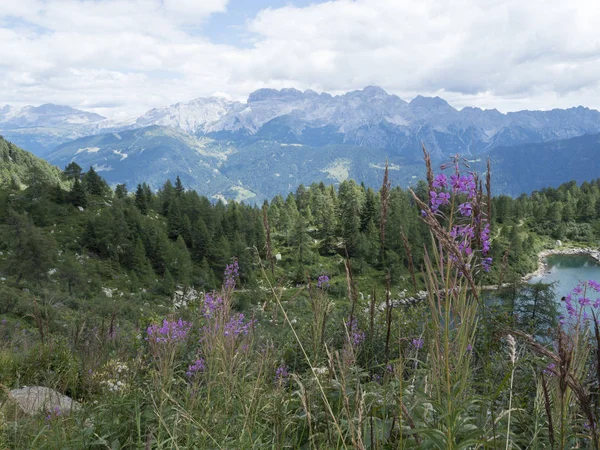 2018 Augurst 15Th San Giuliano Lagos Trentino País Trekking Dia — Fotografia de Stock