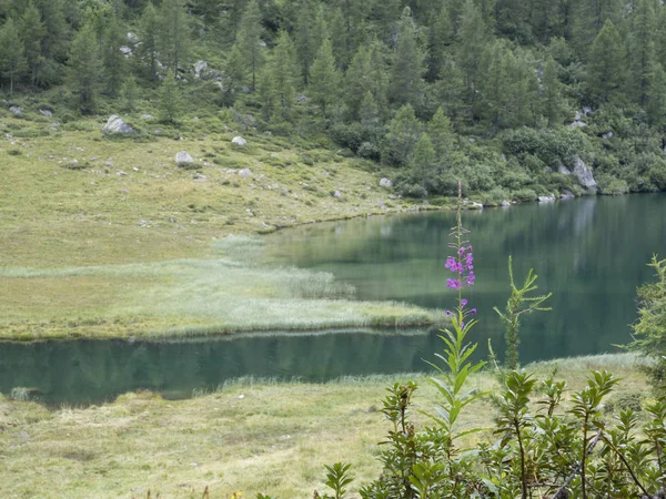 2018 Augurst 15Th San Giuliano Lagos Trentino País Trekking Dia — Fotografia de Stock