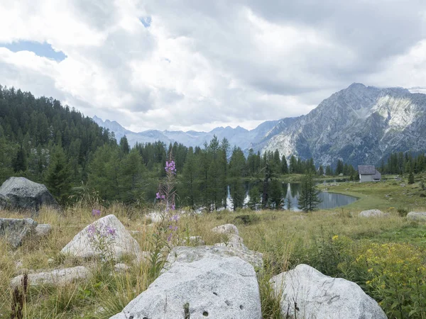 2018 Augurst San Giuliano Jezior Trentino Kraju Dzień Trekking Górze — Zdjęcie stockowe