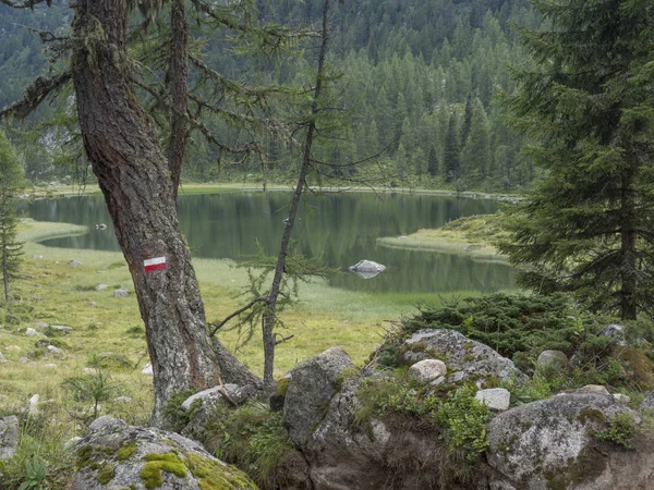 2018 Augurst 15Th San Giuliano Lagos Trentino País Trekking Dia — Fotografia de Stock