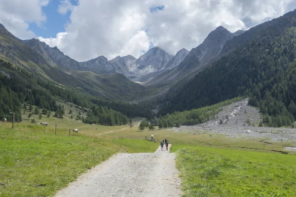 2018 Agosto 19O Vale Senales Trentino Alto Adige País Trekking — Fotografia de Stock