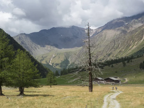 2018 Agosto 19O Vale Senales Trentino Alto Adige País Trekking — Fotografia de Stock