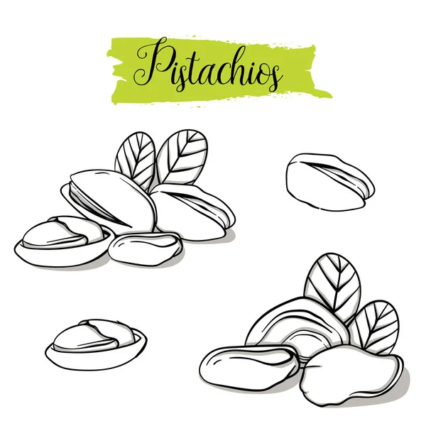 Ensemble Pistaches Dessinées Main Simple Graines Groupe Pistache Groupe Coquilles — Image vectorielle