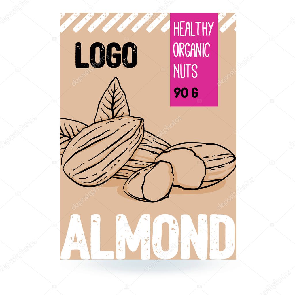 Beautiful vector hand drawn almond organic nut. Template elements collection for packaging design. Modern illustration isolated on the white background.