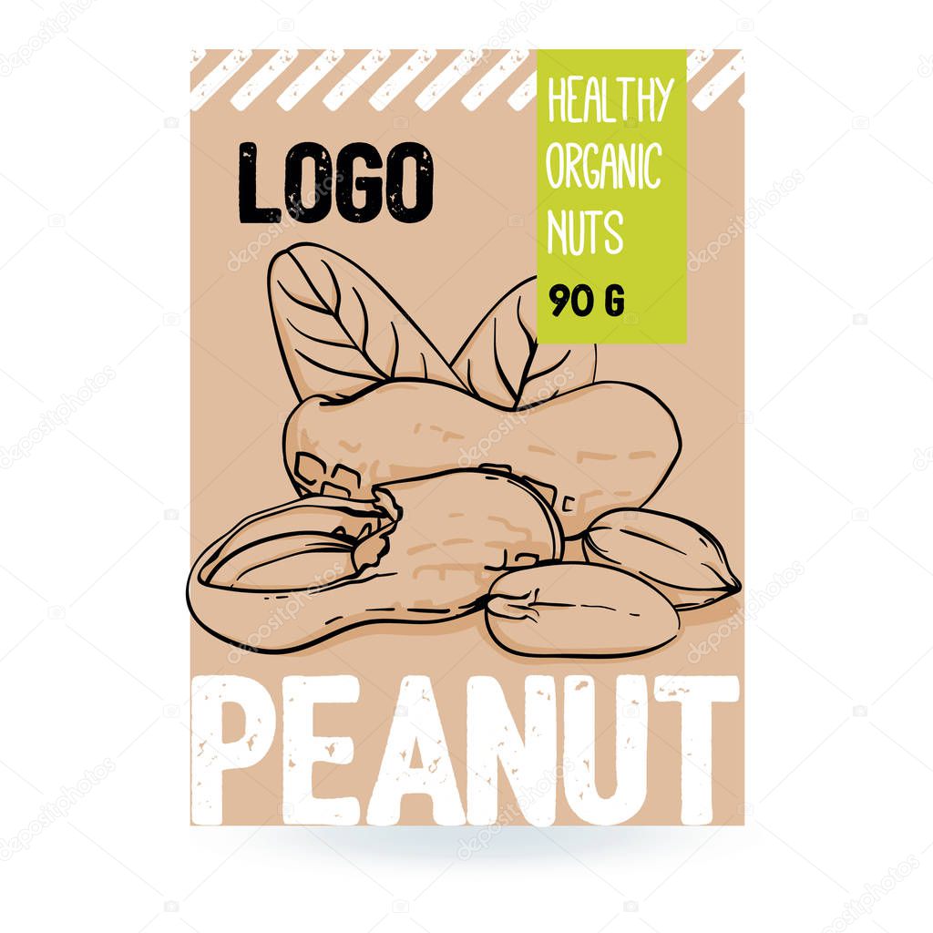 Beautiful vector hand drawn peanut organic nut. Template elements collection for packaging design. Modern illustration isolated on the white background.