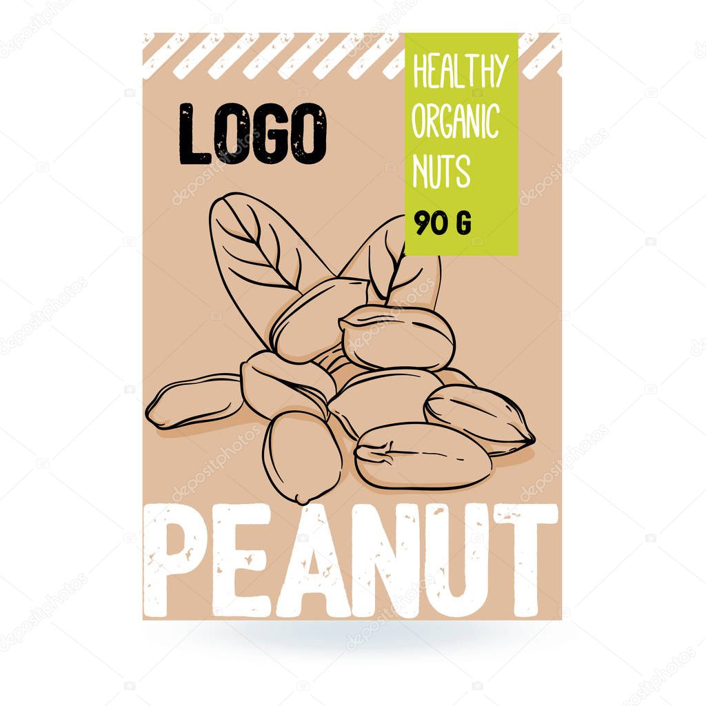 Beautiful vector hand drawn peanut organic nut. Template elements collection for packaging design. Modern illustration isolated on the white background.