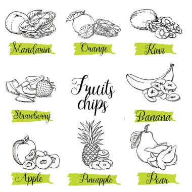 Elle çizilmiş kroki tarzı meyve ve çilek dilimleri, fiş ile. Mandalina, portakal, kivi, çilek, muz, elma, ananas ve armut. Organik Aperatif, beyaz arka plan üzerinde izole vektör doodle resimler koleksiyonu.