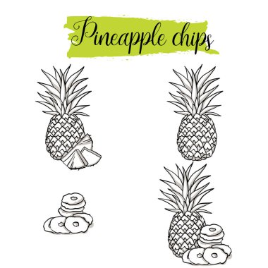 Elle çizilmiş kroki tarzı ananas ayarlayın. Tek, Grup meyve, ananas cips, dilimleri. Organik gıda, beyaz arka plan üzerinde izole vektör doodle resimler koleksiyonu.