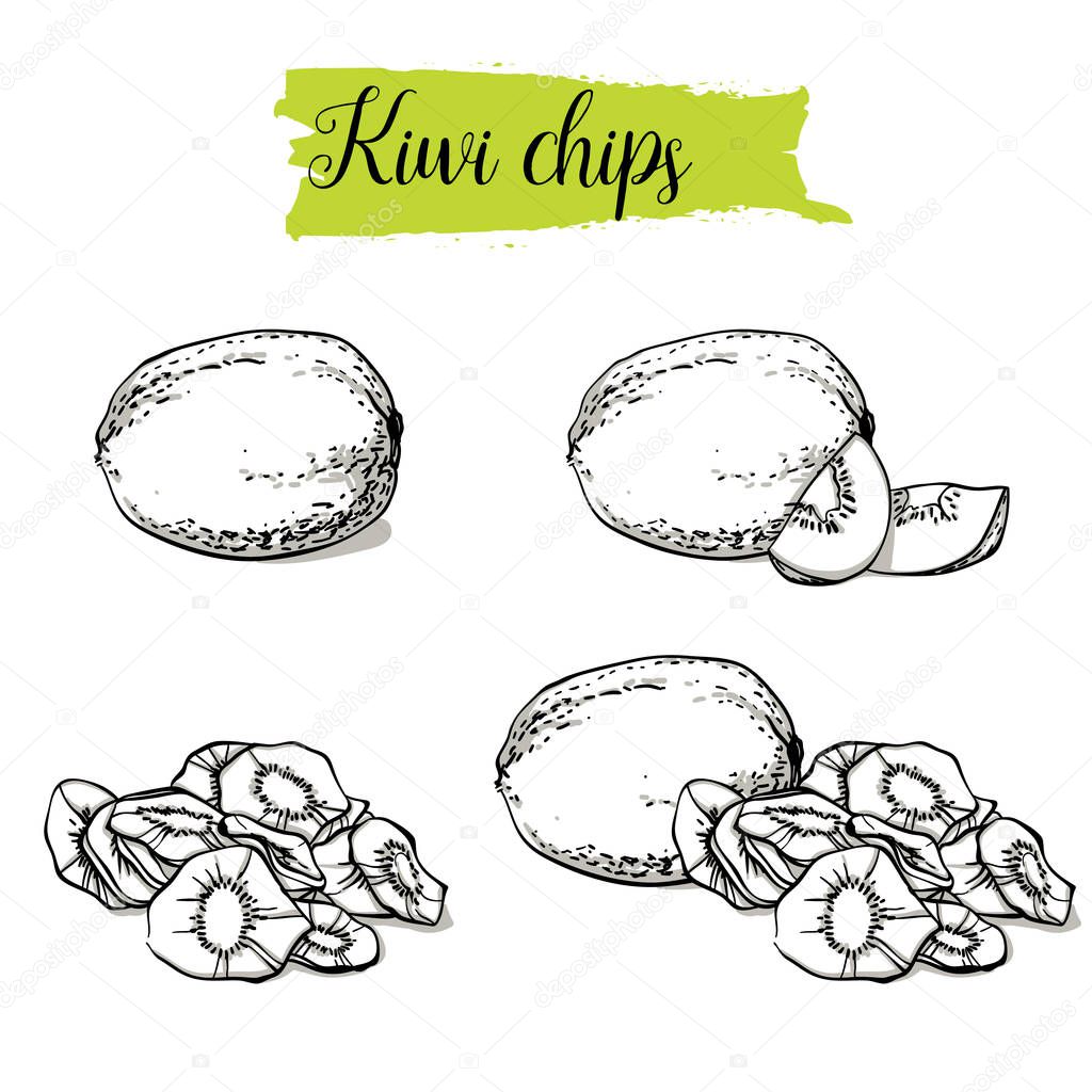 Hand drawn sketch style Kiwi set. Single, group fruits, kiwi chips, slices. Organic food, vector doodle illustrations collection isolated on white background.