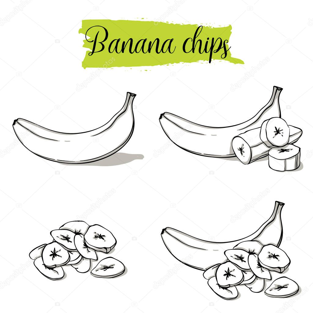 Hand drawn sketch style Banana set. Single, group fruits, banana chips, slices. Organic food, vector doodle illustrations collection isolated on white background.