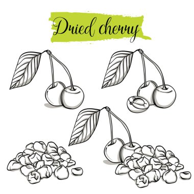 Elle çizilmiş kroki tarzı kiraz ayarlayın. Tek, Grup meyve, dilimleri, kiraz kurutulmuş. Organik gıda, beyaz arka plan üzerinde izole vektör doodle resimler koleksiyonu.