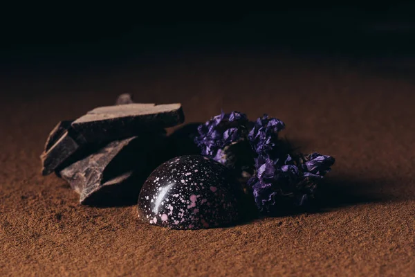 Wyświetlić Zbliżenie Kawałki Czekolady Cukierki Suchych Kwiatów Powierzchni Kakao Proszku — Zdjęcie stockowe