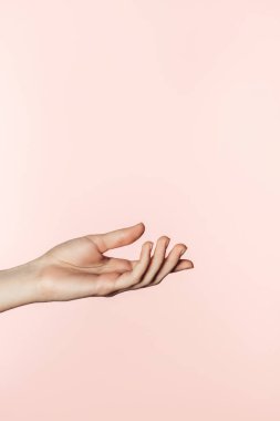 pembe arka plan el eller kadının kısmi görünümü izole 