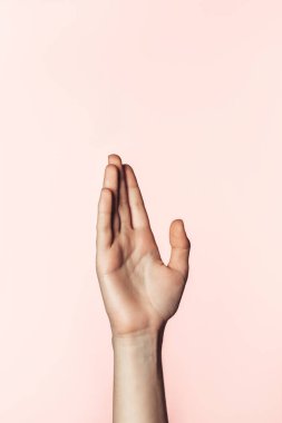 pembe arka plan el eller kadının kısmi görünümü izole 
