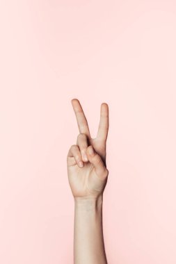 cropped shot of woman doing peace sign isolated on pink background  clipart