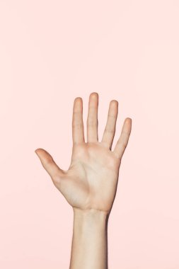 partial view of female hand isolated on pink background clipart