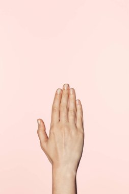 pembe arka plan izole el eller kadının kırpılmış atış 