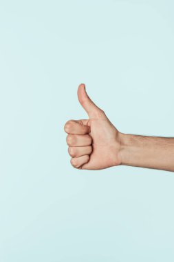 cropped image of man doing thumb up gesture isolated on blue background  clipart