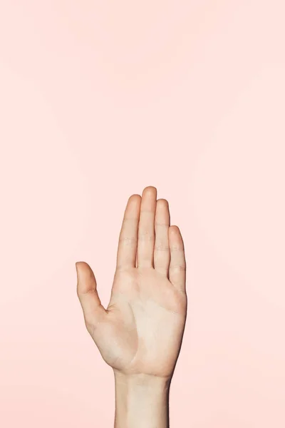 Cropped Image Female Palm Isolated Pink Background — Stock Photo, Image