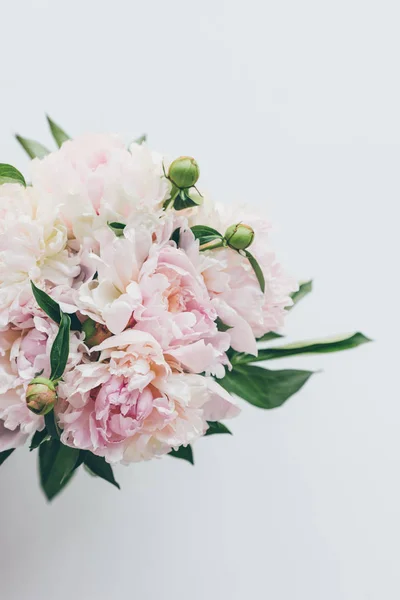 白の光ピンクの牡丹の花束のトップ ビュー — ストック写真